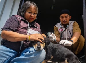 Pemkot Yogyakarta Siapkan 3.000 Vaksin Rabies Gratis untuk Hewan Peliharaan